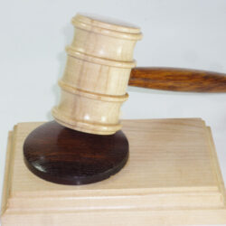 Celebration of English timbers, English sycamore and English brown oak presentation gavel